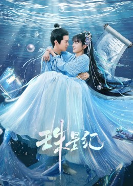 纺织seo优化查询